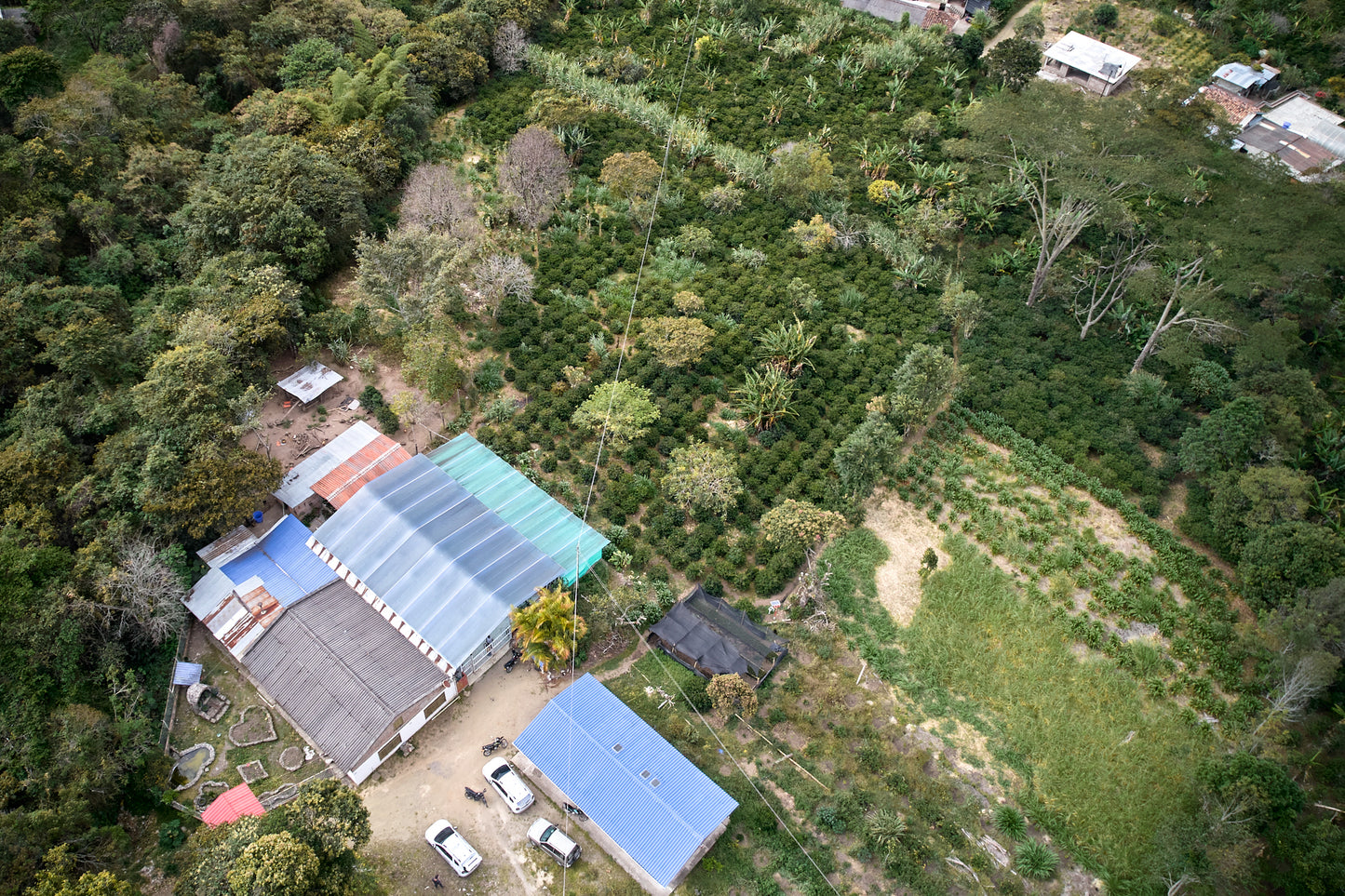 Colombia - Manos de Mujeres