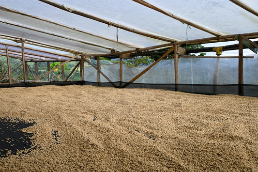 Colombia - Manos Juntas Micromill